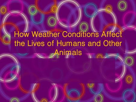 How Weather Conditions Affect the Lives of Humans and Other Animals
