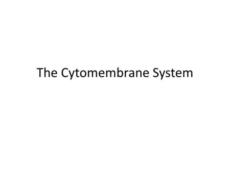 The Cytomembrane System