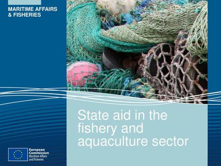 State aid in the fishery and aquaculture sector