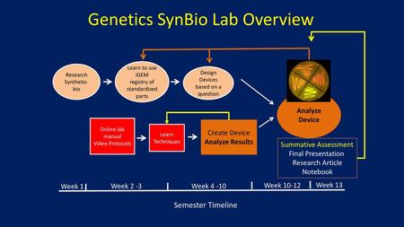 Genetics SynBio Lab Overview