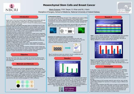 Mesenchymal Stem Cells and Breast Cancer