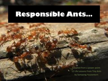 Responsible Ants… Adapted from a power point: