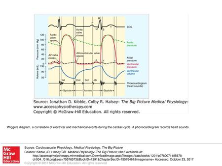 Wiggers diagram, a correlation of electrical and mechanical events during the cardiac cycle. A phonocardiogram records heart sounds. Source: Cardiovascular.