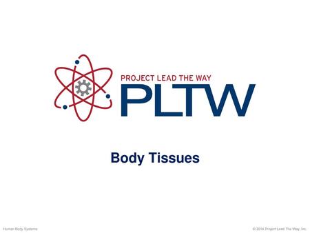 Body Tissues Human Body Systems © 2014 Project Lead The Way, Inc.
