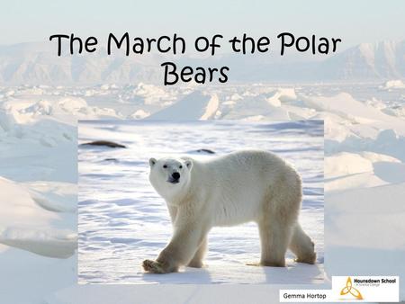 The March of the Polar Bears
