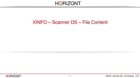 XINFO – Scanner DS – File Content