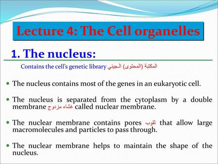 Lecture 4: The Cell organelles