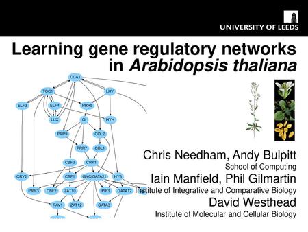 Learning gene regulatory networks in Arabidopsis thaliana