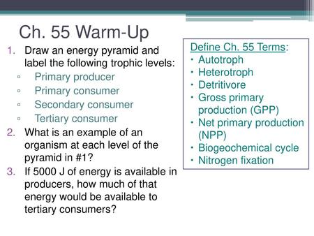 Ch. 55 Warm-Up Define Ch. 55 Terms: