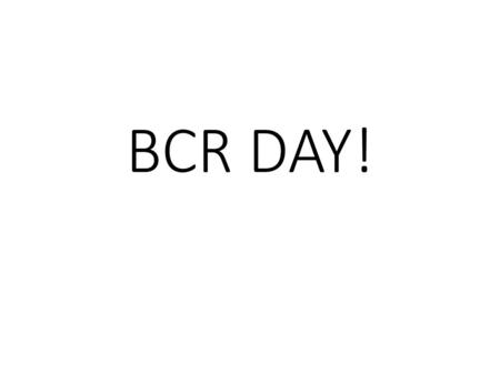 BCR DAY!.
