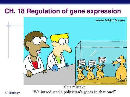 CH. 18 Regulation of gene expression