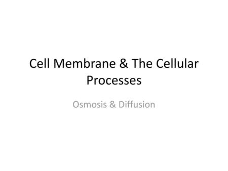 Cell Membrane & The Cellular Processes