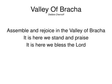 Valley Of Bracha Debbie Chernoff