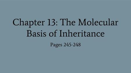 Chapter 13: The Molecular Basis of Inheritance