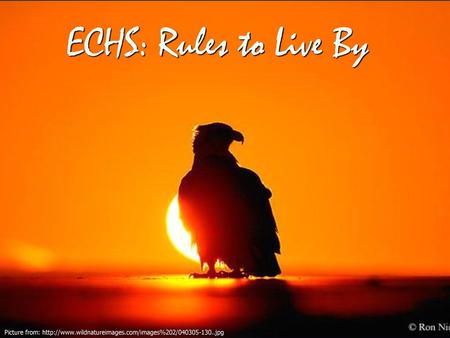 ECHS: Rules to Live By Picture from: http://www.wildnatureimages.com/images%202/040305-130..jpg.