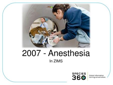 2007 - Anesthesia In ZIMS.