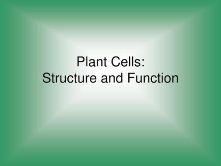 Plant Cells: Structure and Function