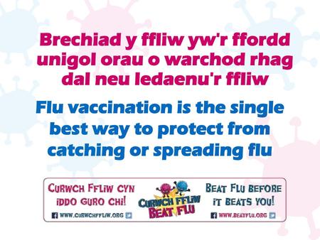   Brechiad y ffliw yw'r ffordd unigol orau o warchod rhag dal neu ledaenu'r ffliw Flu vaccination is the single best way to protect from catching or spreading.