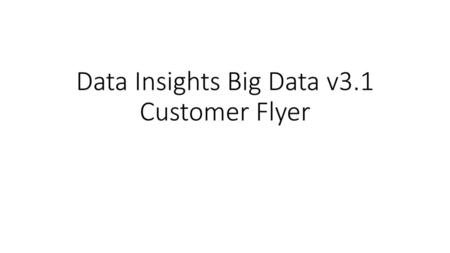 Data Insights Big Data v3.1 Customer Flyer