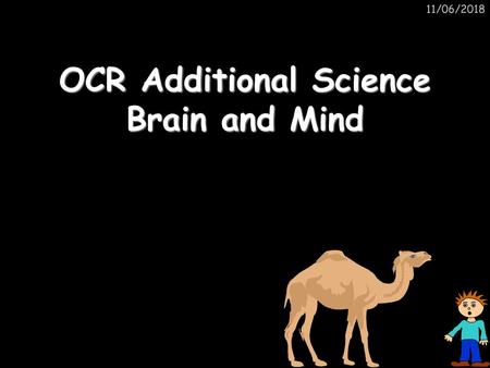 OCR Additional Science Brain and Mind