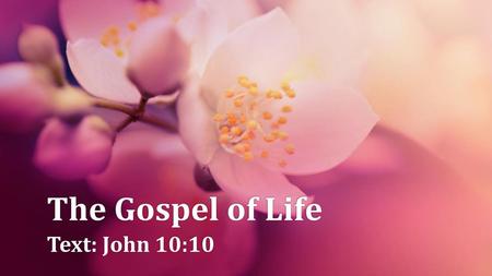 The Gospel of Life Text: John 10:10.