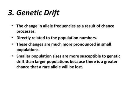 3. Genetic Drift The change in allele frequencies as a result of chance processes. Directly related to the population numbers. These changes are much more.