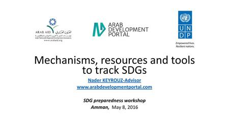 Nader KEYROUZ-Advisor SDG preparedness workshop