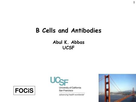 B Cells and Antibodies Abul K. Abbas UCSF FOCiS.