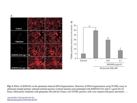 Fig. 3. Effect of JGH43IA on the glutamate-induced DNA fragmentation