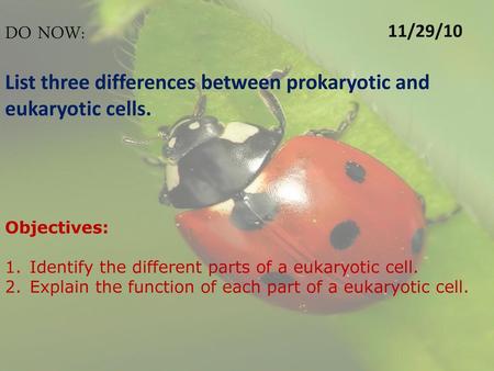 11/29/10 DO NOW: List three differences between prokaryotic and eukaryotic cells. Objectives: Identify the different parts of a eukaryotic cell. Explain.