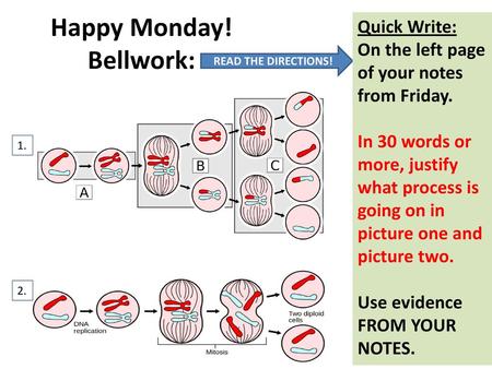 Happy Monday! Bellwork: