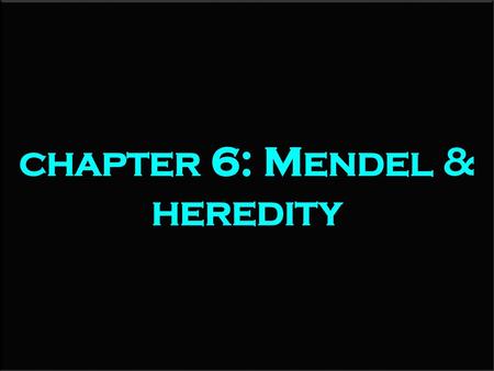 chapter 6: Mendel & heredity