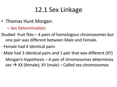 12.1 Sex Linkage Thomas Hunt Morgan: Sex Determination: