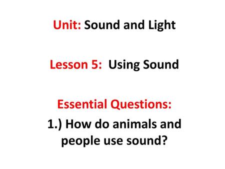 1.) How do animals and people use sound?