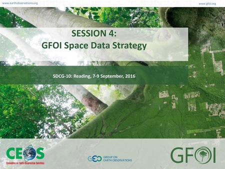 SESSION 4: GFOI Space Data Strategy