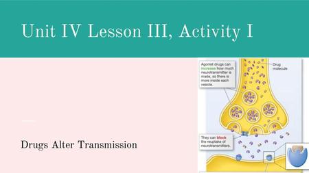 Unit IV Lesson III, Activity I