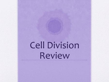 Cell Division Review.