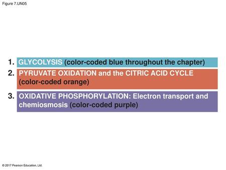 1. GLYCOLYSIS (color-coded blue throughout the chapter)