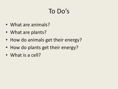 To Do’s What are animals? What are plants?