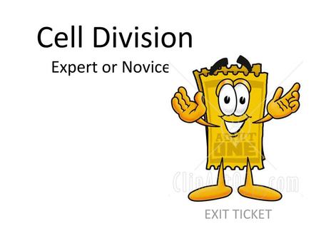 Cell Division Expert or Novice?