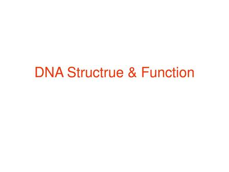 DNA Structrue & Function