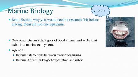 Marine Biology DAY 4 Drill: Explain why you would need to research fish before placing them all into one aquarium. Outcome: Discuss the types of food chains.