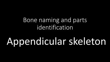 Bone naming and parts identification
