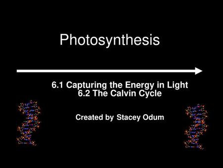 6.1 Capturing the Energy in Light 6.2 The Calvin Cycle