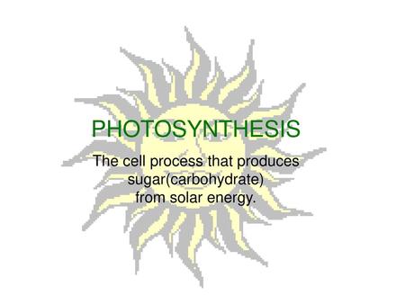 The cell process that produces sugar(carbohydrate)