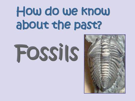 How do we know about the past? Fossils.