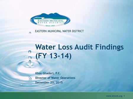 Water Loss Audit Findings (FY 13-14)