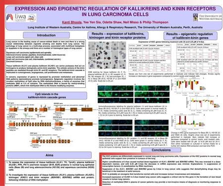 EXPRESSION AND EPIGENETIC REGULATION OF KALLIKREINS AND KININ RECEPTORS IN LUNG CARCINOMA CELLS Kanti Bhoola, Yee Yen Sia, Odette Shaw, Neil Misso &