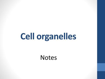Cell organelles Notes.
