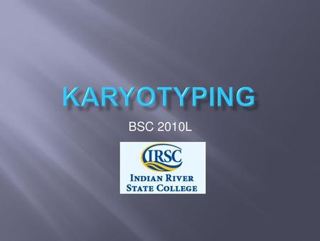 Karyotyping BSC 2010L.